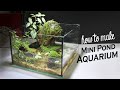 DIY Mini Pond Aquarium - Carpet  Hill