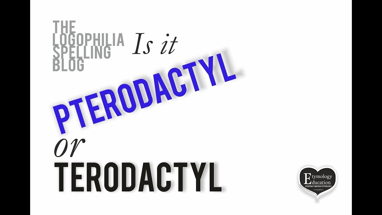 How to Spell Video: terodactyl or pterodactyl? - YouTube
