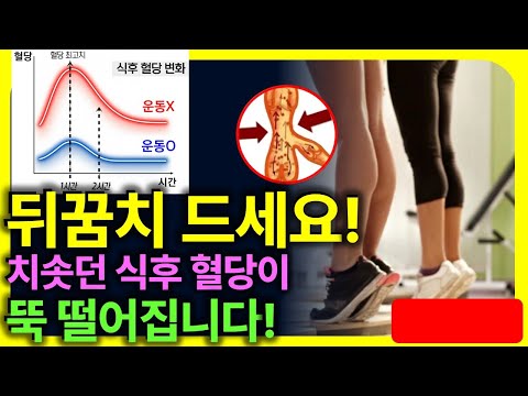 밥먹고 딱 8분만 뒤꿈치 들어보세요!🔥 식후 혈당이 뚝 떨어집니다! 종아리 가자미근 운동[혈당스파이크, 공복,중년운동]