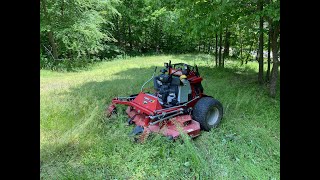 Nobody Would Mow Her [Overgrown Lawn]