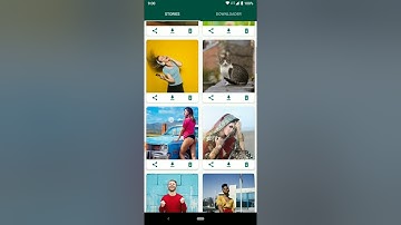 Instagram Video Downloader & WhatsApp Status Saver