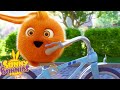 SUNNY BUNNIES - Bike Ride | Season 6 | Cartoons for Kids