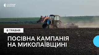 Який стан та робота посівної кампанії на Миколаївщині у 2024 році