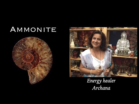 Ammonite * Power of Cosmic Energy *