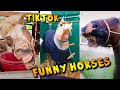 Funny Horses - TikTok Compilation