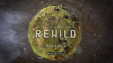 REWILD: Grasslands | Official Trailer [HD] - PHORIA, Google, Netflix & OnePlus