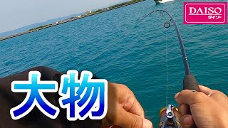 ダイソーロッド一本持って浜名湖へ釣りに行ってきました。