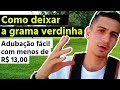 Como adubar grama com NPK (Na prática) | Deixe ela como um tapete!