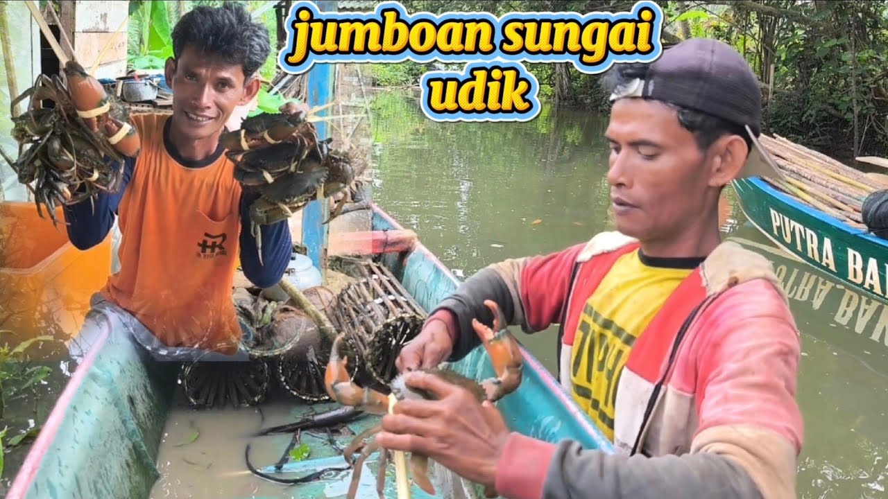 Berburu Kepiting Jumbo Di Sungai Cipari
