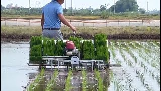 3 cỡ máy cấy cùng 1 giống lúa trên mảnh ruộng xem loại nào năng xuất hơn - Rice Transplanter