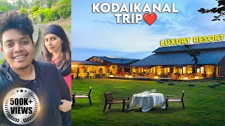 Kodaikanal With Wife | Tamara  5 Star Hotel  Irfan's View