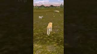 virtual tiger family simulator wild tiger games#shorts screenshot 4