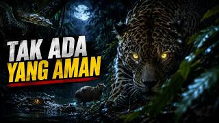 Perburuan Malam Para Predator Amazon