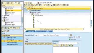 Details How to create an Organization Plan for SAP workflow (2 of 2) News