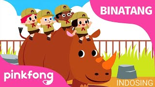 Peek-A-Zoo | Bayi Hiu | Lagu Anak Bahasa Indonesia #pinkfong #indosing #laguanakindonesia