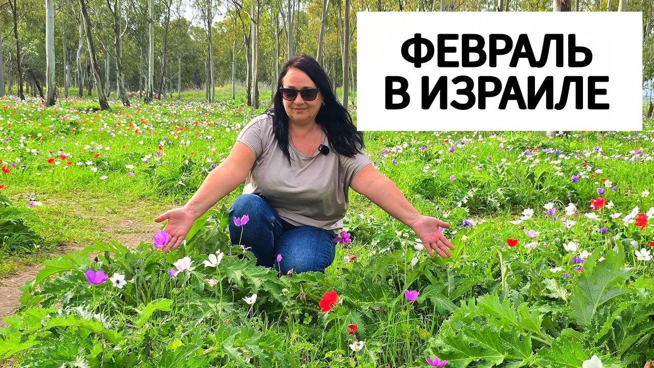 Самый дорогой и красивый месяц! От розовой сказки до сирен и бомбоубежищ 🌸 🚨