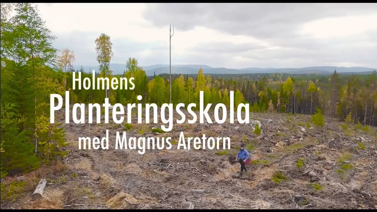 Holmens planteringsskola