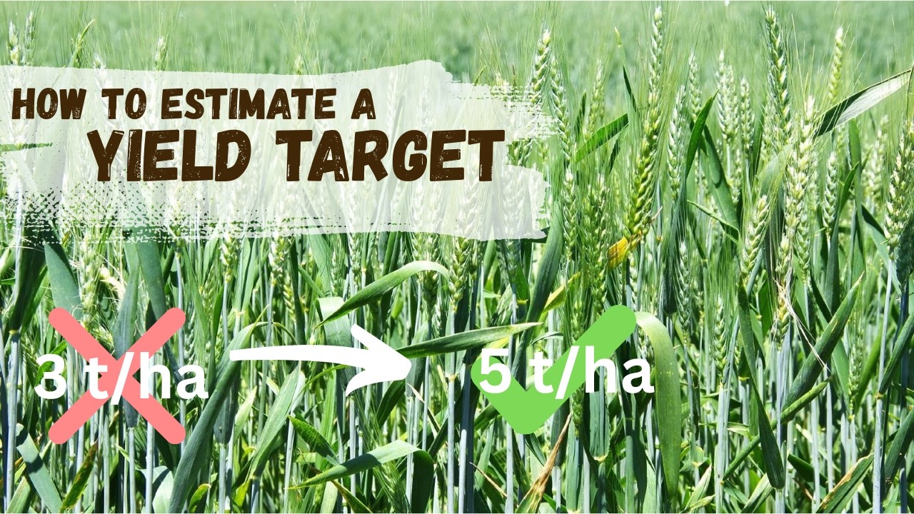 How To Estimate a Yield Target - YouTube