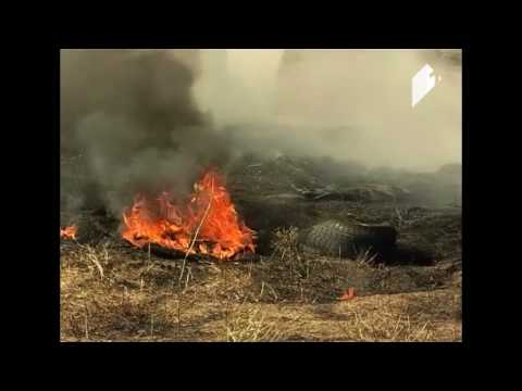 ხანძარი დიდ დიღომში - კადრები შემთხვევის ადგილიდან