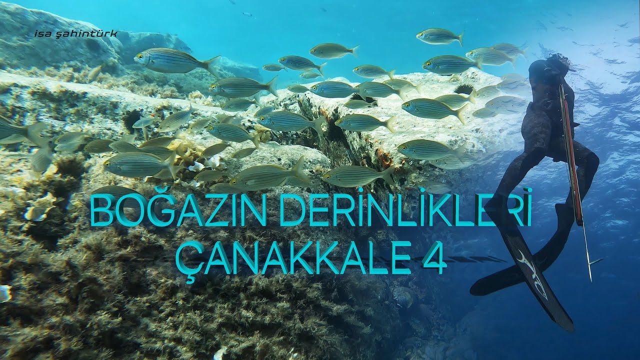 Boğazın Derinlikleri Çanakkale 4   |  Saros Ağustos 2023