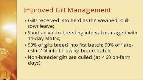 Dr. Dave Baumert - Impact of Batch Farrowing on Health and Productivity