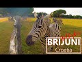 Brijuni National Park | Istria - Croatia