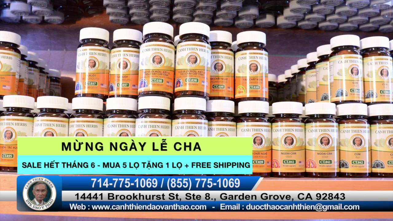 DUOC THAO CANH THIEN 60s LE CHA YouTube