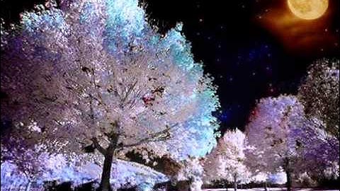 ماتيسر من سورة ابراهيم..ام كلثوم..yosri 21 video