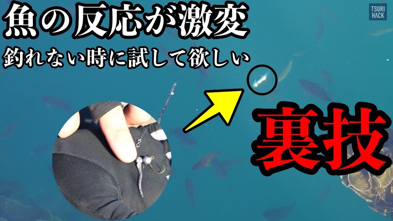 釣ってないはずが 魚がいるのに釣れない…そんな時に試したい“激セコフィッシング”とは