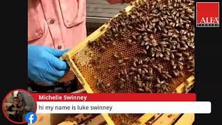 Virtual Field Trip  - Honeybees 13 - Visiting A Colony - A Food Frame