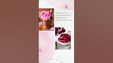 Did you know? 🌹 #altenew #fyp #trending #inspirational #papercrafting #cardmaking #trivia #flowers