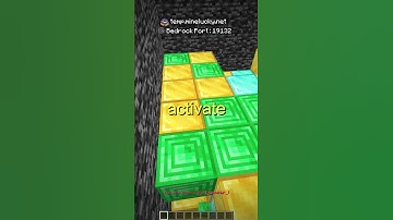 I Trolled The OWNER On Prisons!!!