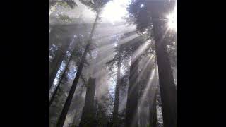 * FREE * archivecore type beat [ end of time ]