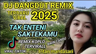 DANGDUT REMIX KOPLO VIRAL TERBARU 2025‼️TAK ENTENI SAK TEKAMU#dangdutkoplo#koplo