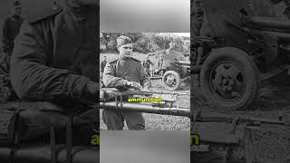 Why the Soviets Tied Rifles to Their Cannons in WWII