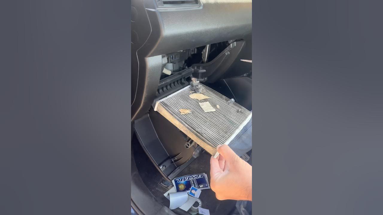 how-to-remove-rat-smell-from-car