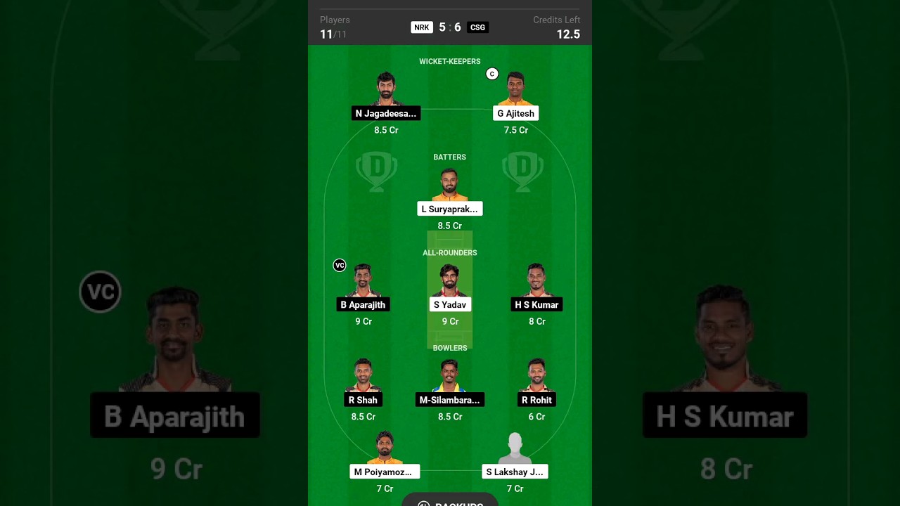 TAMIL NADU PREMIER LEAGUE CSG VS NRK DREAM11 TEAM TODAY