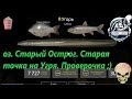 Русская Рыбалка 4. оз. Старый Острог. Угорь вроде как вернулся на точку. Проверяем.