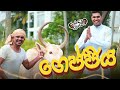 Janai Priyai - Gejjiya... | ගෙජ්ජිය...