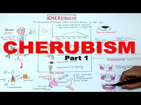 Video: SH3BP2s Rolle I Patofysiologien For Cherubisme