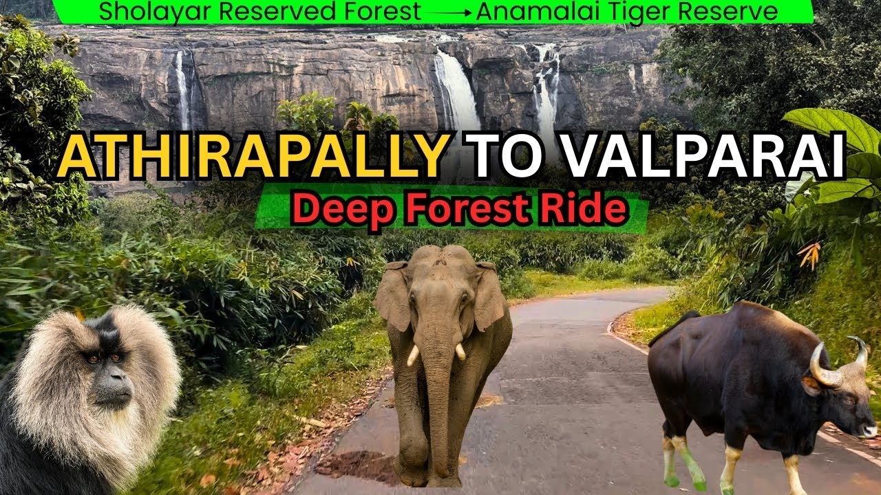 Athirapally to Valparai | Where Elephants Rule the Road 🐘