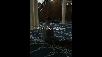 سبحان الله😴❤️ارح سمعك تلاوة هادئة تنسيك هموم الدنيا كلها😴💙حالات واتس اب دينية قصيرة