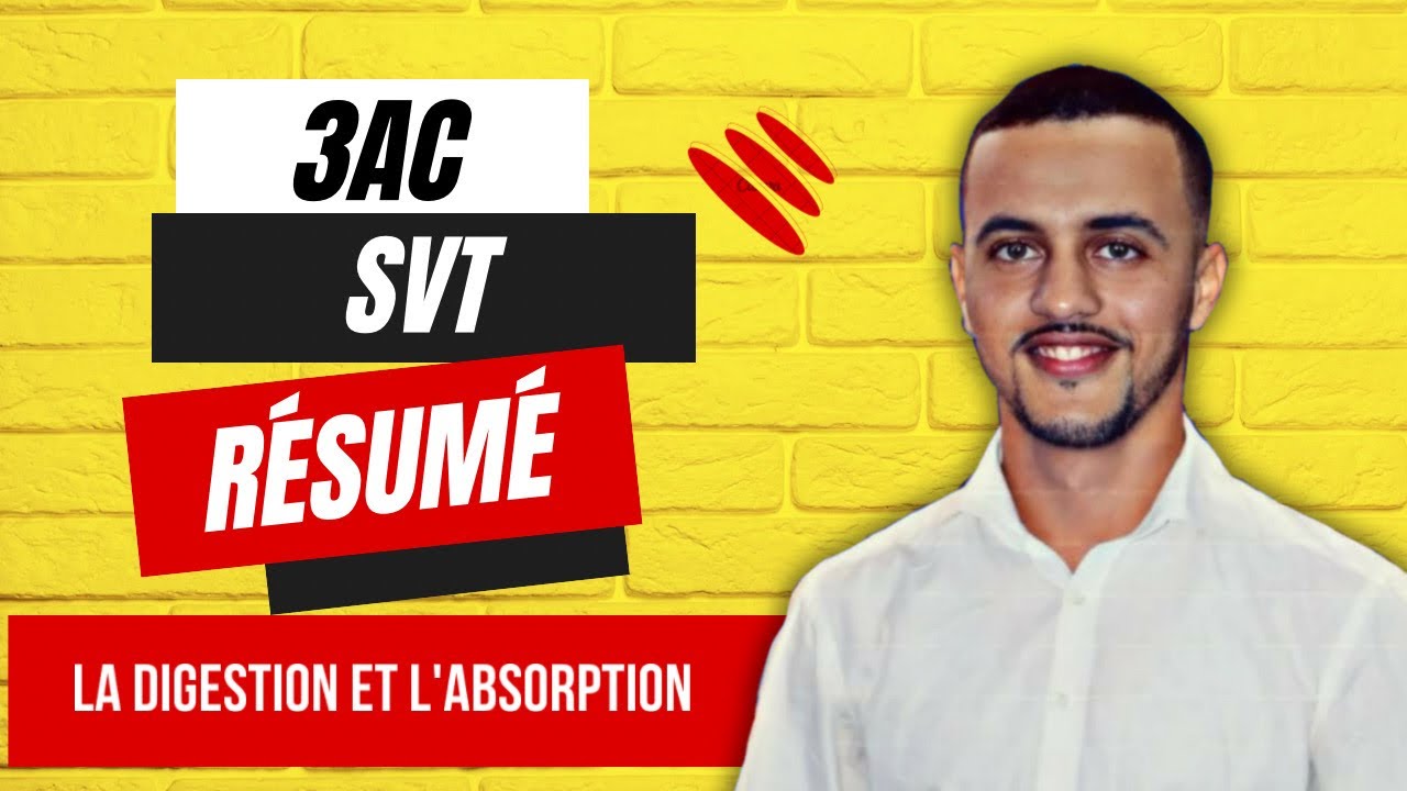 الثالثة إعدادي : ملخص الهضم والامتصاص -résumé de la digestion et l 'absorption