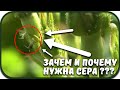 Зачем и для чего нужна сера???