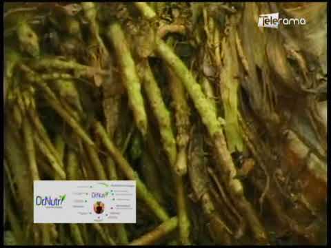 Ecuador Agropecuario 27-10-2017