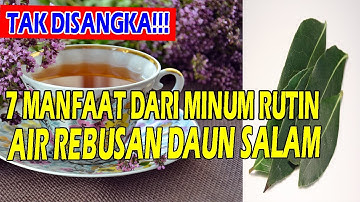 TAK DISANGKA!!! INILAH 7 MANFAAT MINUM AIR REBUSAN DAUN SALAM UNTUK KESEHATAN