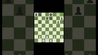 checkmate from an opponent dominated position 🤞😭 #chess#chessbrah #checkmate#chesswisdom