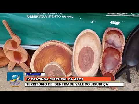 IV Caatinga Cultural realizada pela APOJ mostrou riquezas do bioma Caatinga