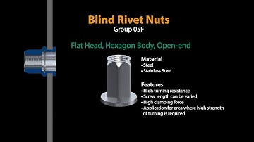 BLIND RIVET NUT Q-NUT FULL HEXAGON – CYLINDRICAL HEAD