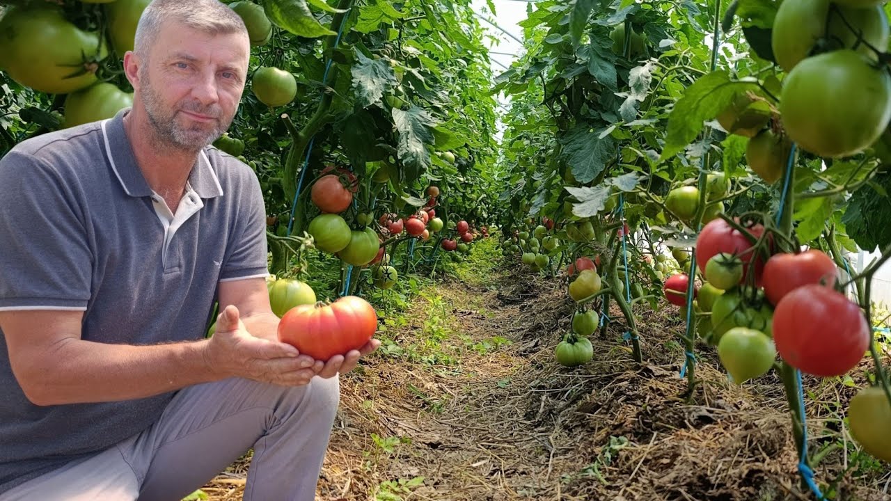 OD PLASTENIKA SVOJIM RADOM USPJEO MNOGO TOGA ,SVE ŠTO PROIZVEDE  PRODA